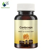 Cordyceps Sinensis Militaris Extract แคปซูล